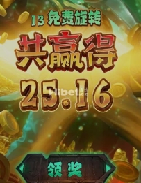 宝藏船说是盈利到25块的