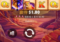 野狼黄金不太给力啊