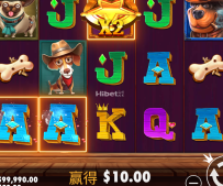 狗狗神气没什么大奖