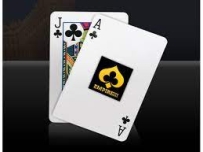 Blackjack(21点) 报酬率/策略/扣除率分析