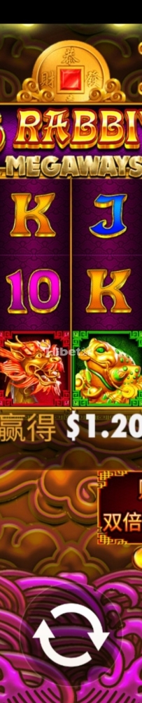 5金兔不行的止损了