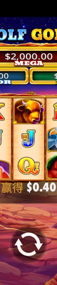 野狼黄金不给力认输了
